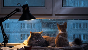 Как утеплить окна своими руками