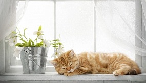 Треснуло стекло в стеклопакете: причины и способы устранения