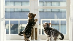 5 ошибок, которые мы совершаем при покупке окон